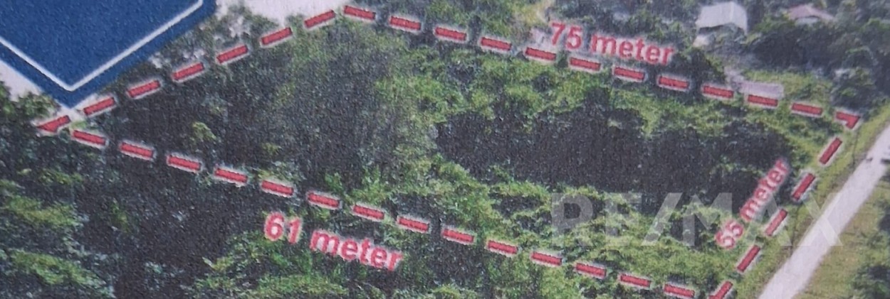 Paloeloeweg